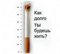 Содержание сигареты