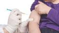 Для родителей «О пользе профилактических прививок»