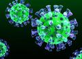 Меры профилактики по недопущению возникновения и распространения коронавирусной инфекции (COVID-19)